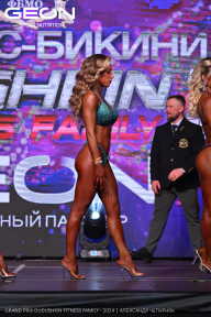 Grand Prix Dudushkin Fitness Family - 2024