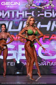 Grand Prix Dudushkin Fitness Family - 2024