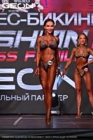 Grand Prix Dudushkin Fitness Family - 2024