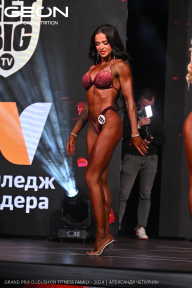 Grand Prix Dudushkin Fitness Family - 2024