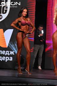 Grand Prix Dudushkin Fitness Family - 2024