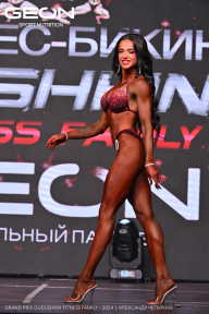 Grand Prix Dudushkin Fitness Family - 2024