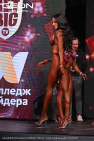 Grand Prix Dudushkin Fitness Family - 2024