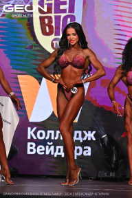 Grand Prix Dudushkin Fitness Family - 2024