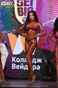 Grand Prix Dudushkin Fitness Family - 2024