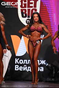 Grand Prix Dudushkin Fitness Family - 2024