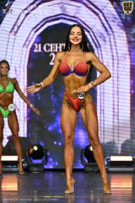 Чемпионат Москвы по бодибилдингу - 2025