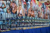 Чемпионат Московской области по бодибилдингу - 2025