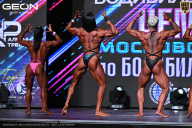 Чемпионат Московской области по бодибилдингу - 2025