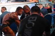 Чемпионат Московской области по бодибилдингу - 2025