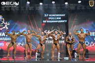 Чемпионат России по бодибилдингу - 2025