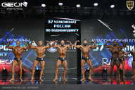 Чемпионат России по бодибилдингу - 2025