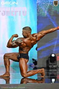 Чемпионат России по бодибилдингу - 2025