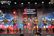 Чемпионат России по бодибилдингу - 2025