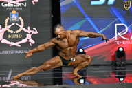 Чемпионат России по бодибилдингу - 2025