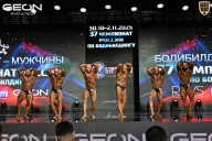 Чемпионат России по бодибилдингу - 2025