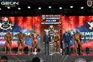 Чемпионат России по бодибилдингу - 2025