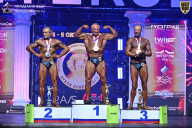 Чемпионат Санкт-Петербурга по бодибилдингу - 2025