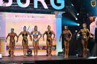 Чемпионат Санкт-Петербурга по бодибилдингу - 2025