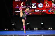 Чемпионат Вологодской области по бодибилдингу - 2025