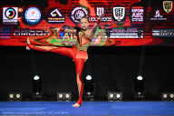 Чемпионат Вологодской области по бодибилдингу - 2025