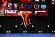 Чемпионат Вологодской области по бодибилдингу - 2025