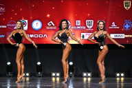 Чемпионат Вологодской области по бодибилдингу - 2025