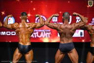 Чемпионат Вологодской области по бодибилдингу - 2025