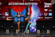 Чемпионат Вологодской области по бодибилдингу - 2025