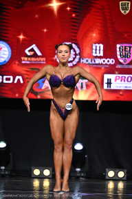 Чемпионат Вологодской области по бодибилдингу - 2025