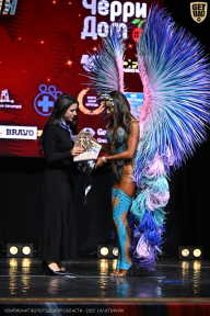 Чемпионат Вологодской области по бодибилдингу - 2025