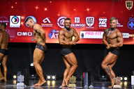 Чемпионат Вологодской области по бодибилдингу - 2025