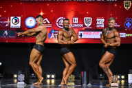 Чемпионат Вологодской области по бодибилдингу - 2025