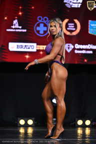 Чемпионат Вологодской области по бодибилдингу - 2025