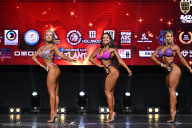 Чемпионат Вологодской области по бодибилдингу - 2025