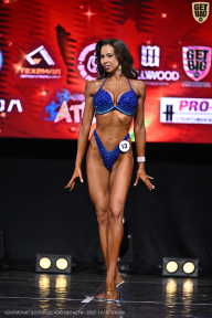 Чемпионат Вологодской области по бодибилдингу - 2025