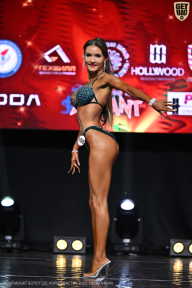 Чемпионат Вологодской области по бодибилдингу - 2025