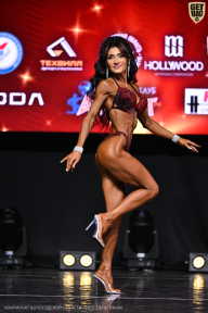 Чемпионат Вологодской области по бодибилдингу - 2025