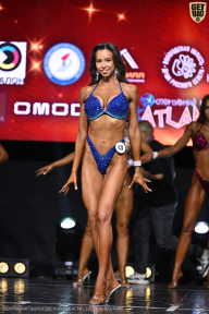 Чемпионат Вологодской области по бодибилдингу - 2025