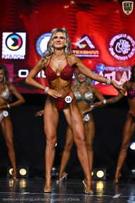 Чемпионат Вологодской области по бодибилдингу - 2025