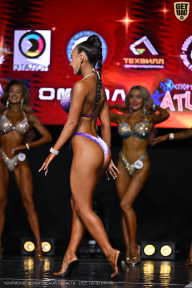 Чемпионат Вологодской области по бодибилдингу - 2025