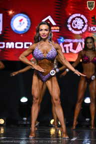 Чемпионат Вологодской области по бодибилдингу - 2025