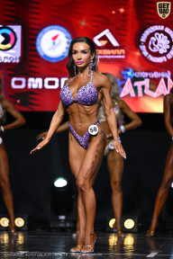 Чемпионат Вологодской области по бодибилдингу - 2025