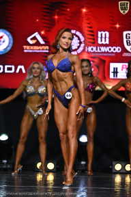 Чемпионат Вологодской области по бодибилдингу - 2025