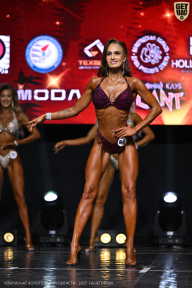 Чемпионат Вологодской области по бодибилдингу - 2025