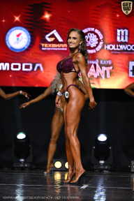 Чемпионат Вологодской области по бодибилдингу - 2025