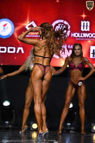 Чемпионат Вологодской области по бодибилдингу - 2025