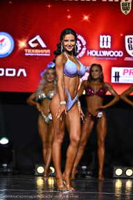 Чемпионат Вологодской области по бодибилдингу - 2025