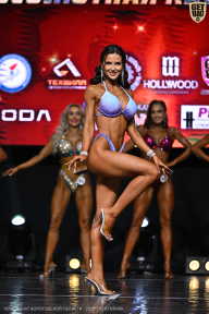 Чемпионат Вологодской области по бодибилдингу - 2025