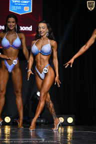 Чемпионат Вологодской области по бодибилдингу - 2025